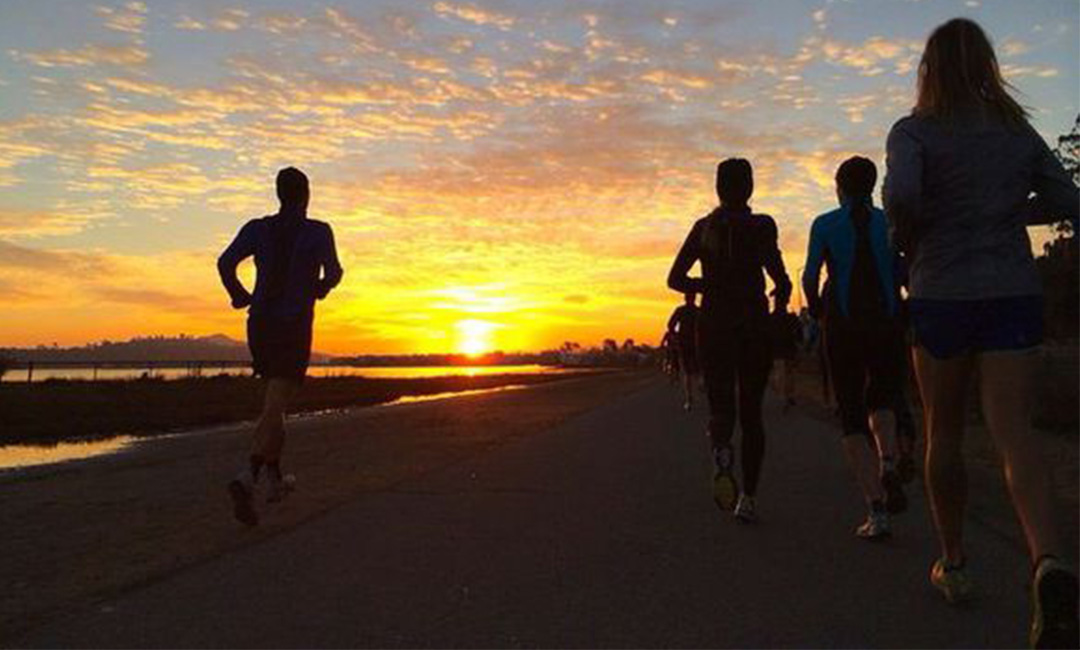 鄂尔多斯计步器问答案例